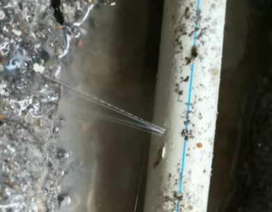 沙市测漏水哪家好