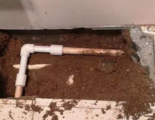 沙市测漏水哪家好