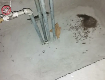 沙市卫生间测漏水价格明细