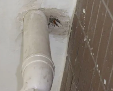 沙市漏水检测哪家好